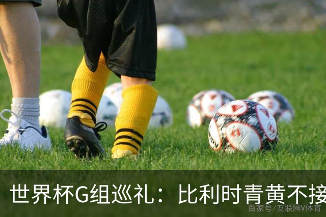 世界杯G组巡礼：比利时青黄不接 伊朗赴美参赛风波不断